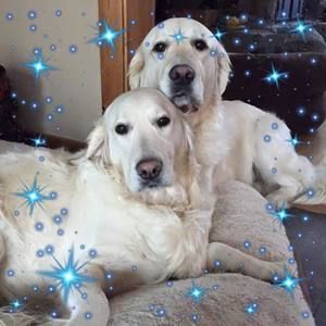 Meet your Posher, Pam